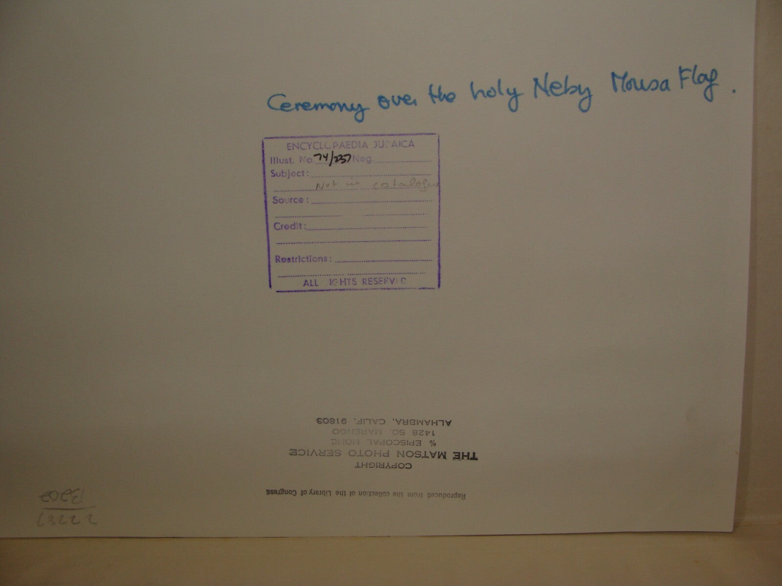 Photo Print Palestine Israel Arab Arabic Nabi Musa Ceremony Flag MATSON 1910s?