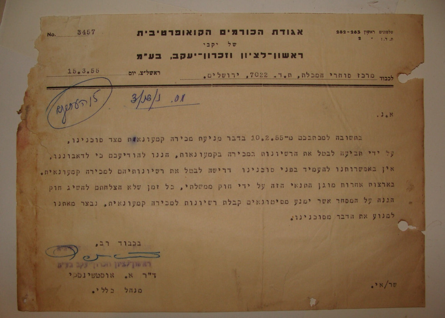 Letter Jewish Hebrew 1955 Israel Israeli Wine Rishon Lezion Zichron Vineyard