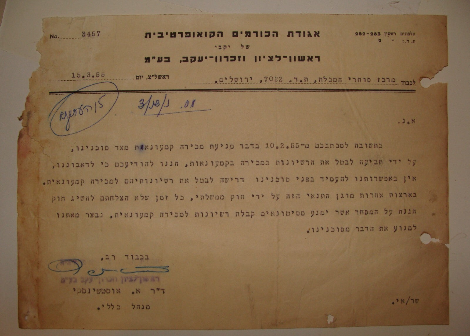 Letter Jewish Hebrew 1955 Israel Israeli Wine Rishon Lezion Zichron Vineyard