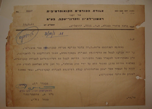 Letter Jewish Hebrew 1955 Israel Israeli Wine Rishon Lezion Zichron Vineyard