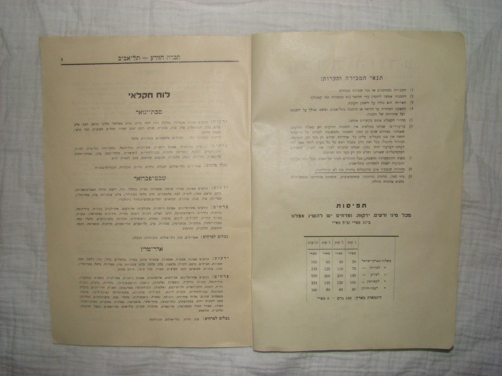 Book Jewish hebrew 1938 palestine eretz israel Hazorea Company Agriculture
