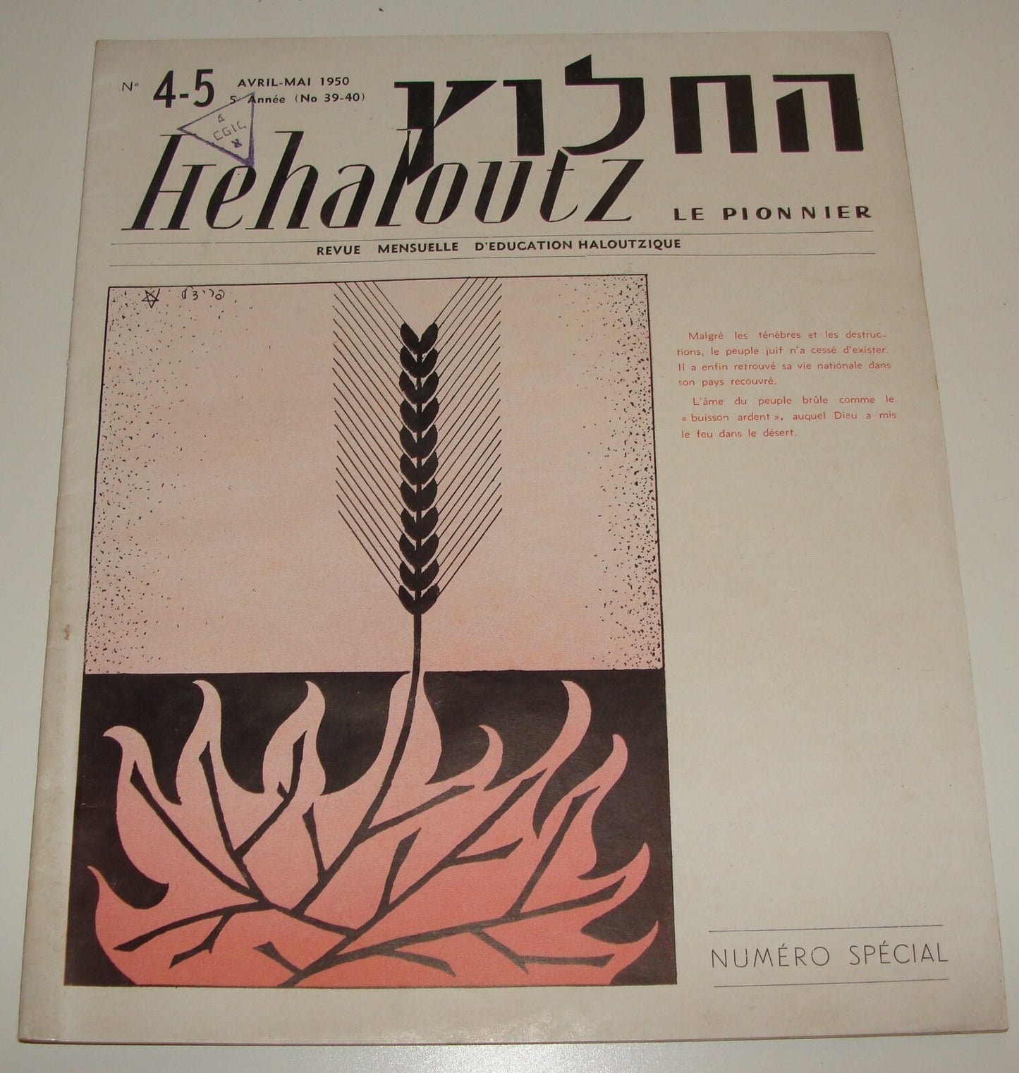 Bulletin Jewish Judaica 1950 France Paris Zionist HEHALOUTZ Zionist Israel