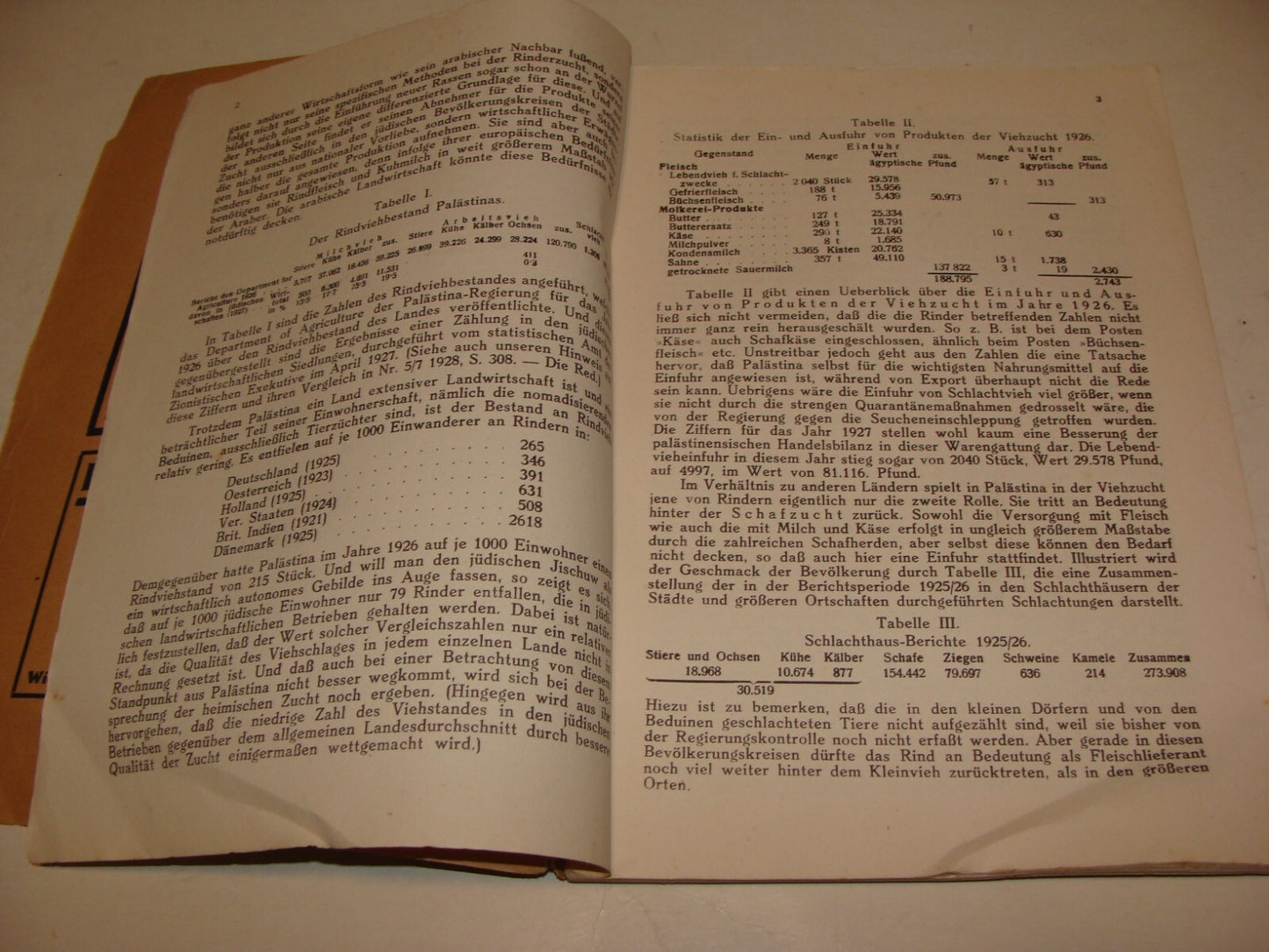 Jewish Judaica 1929 German Austria Vienna Palestine Monthly Zionist Israel