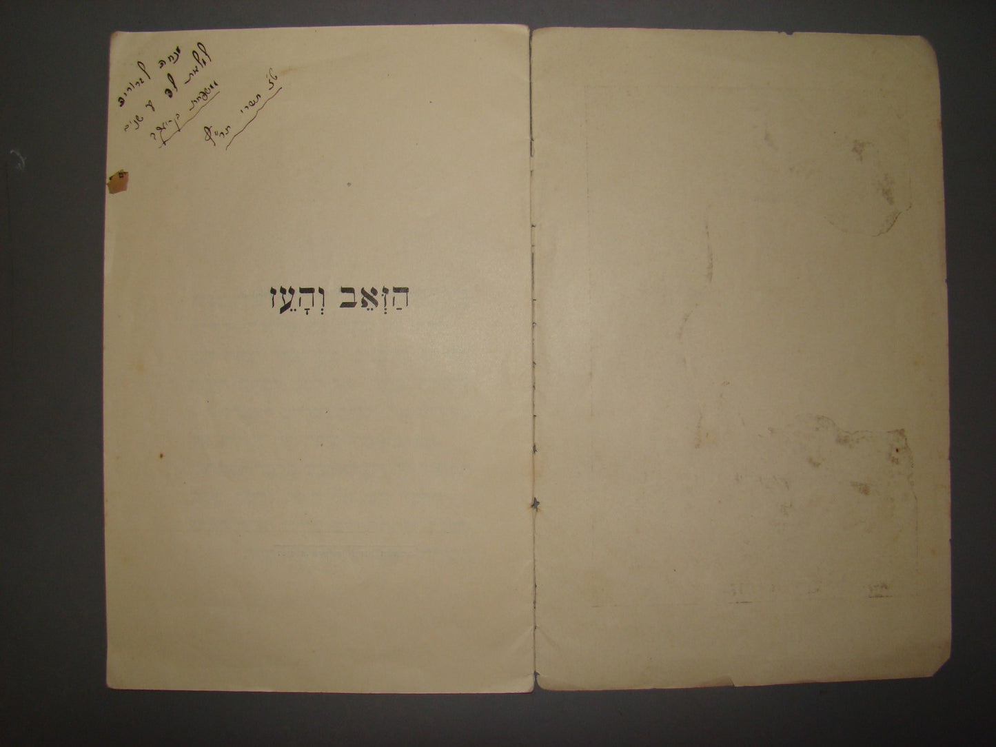 Book Jewish hebrew 1929 palestine israel Levin Kipnis Children Nachum Gutman