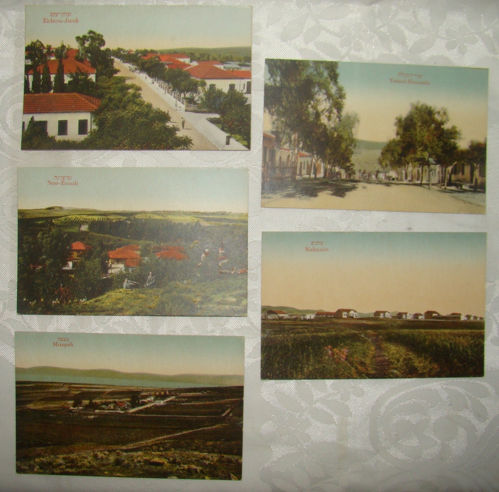 Photo Palestine Card hebrew jewish Israel Moshe Ordmann postcard Kibbutz Moshav