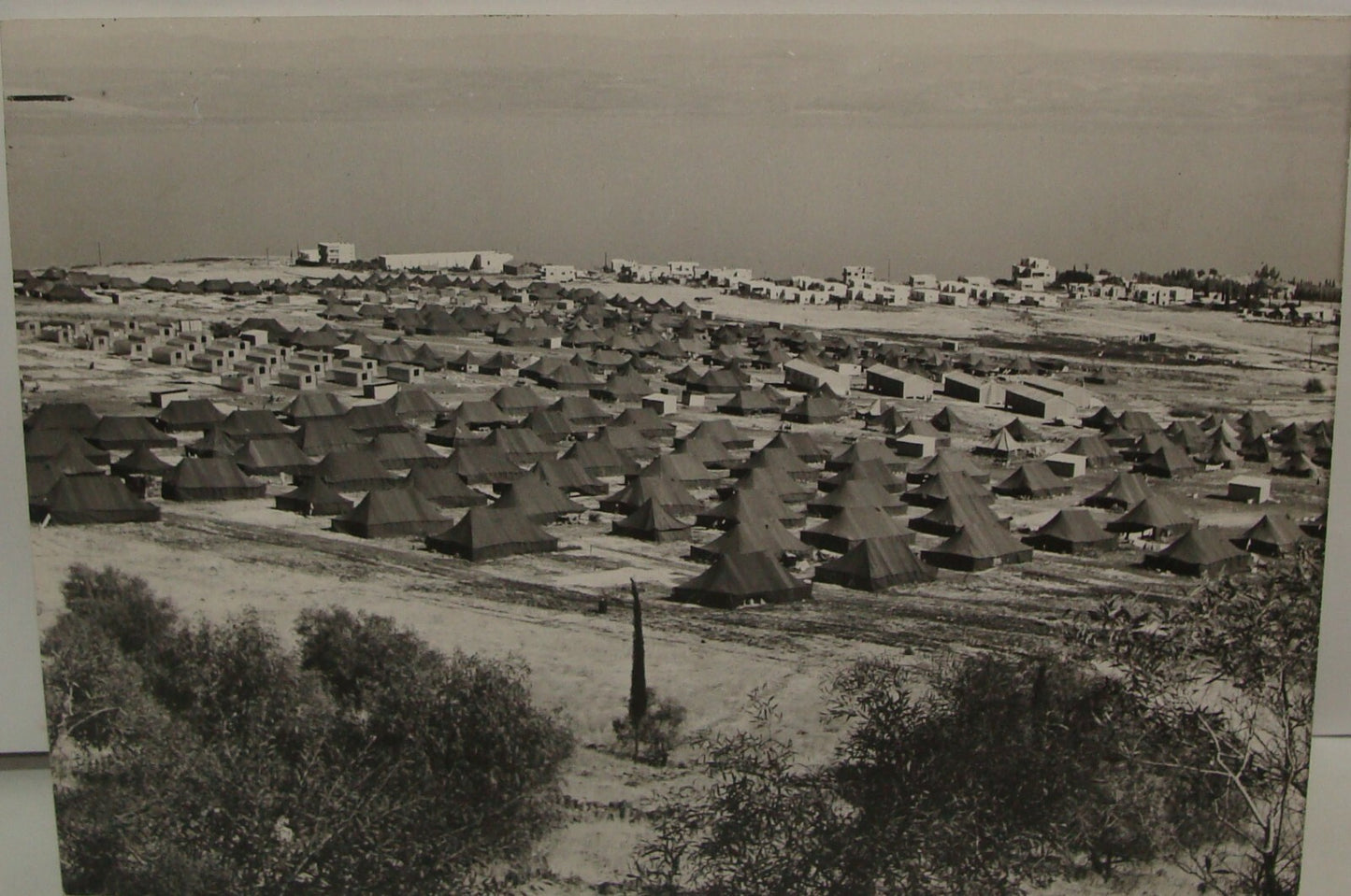 Photo Print 1950 Israel Israeli Immigrant Tents Absorption Camp Tiberias Refugee