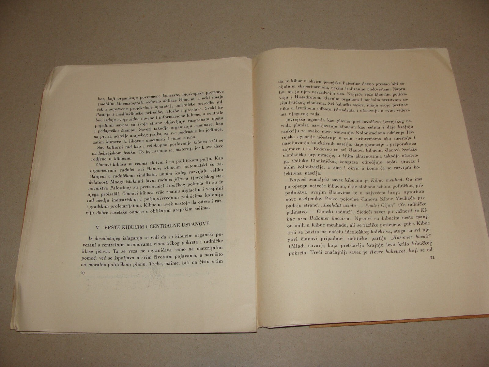 Pamphlet Palestine Map 1947 Zionist Jewish Hebrew Israel Kibbutz Bosnian Photo