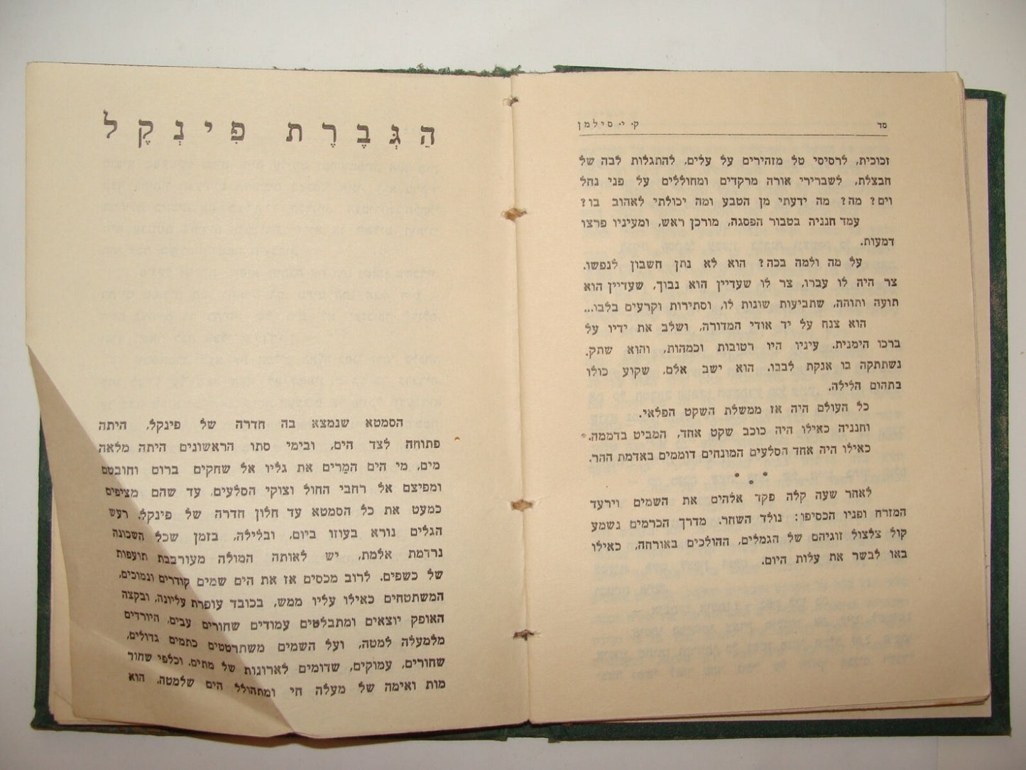 Book Jewish Palestine Israel Israeli Hebrew Literature Stories סנסנים 1929
