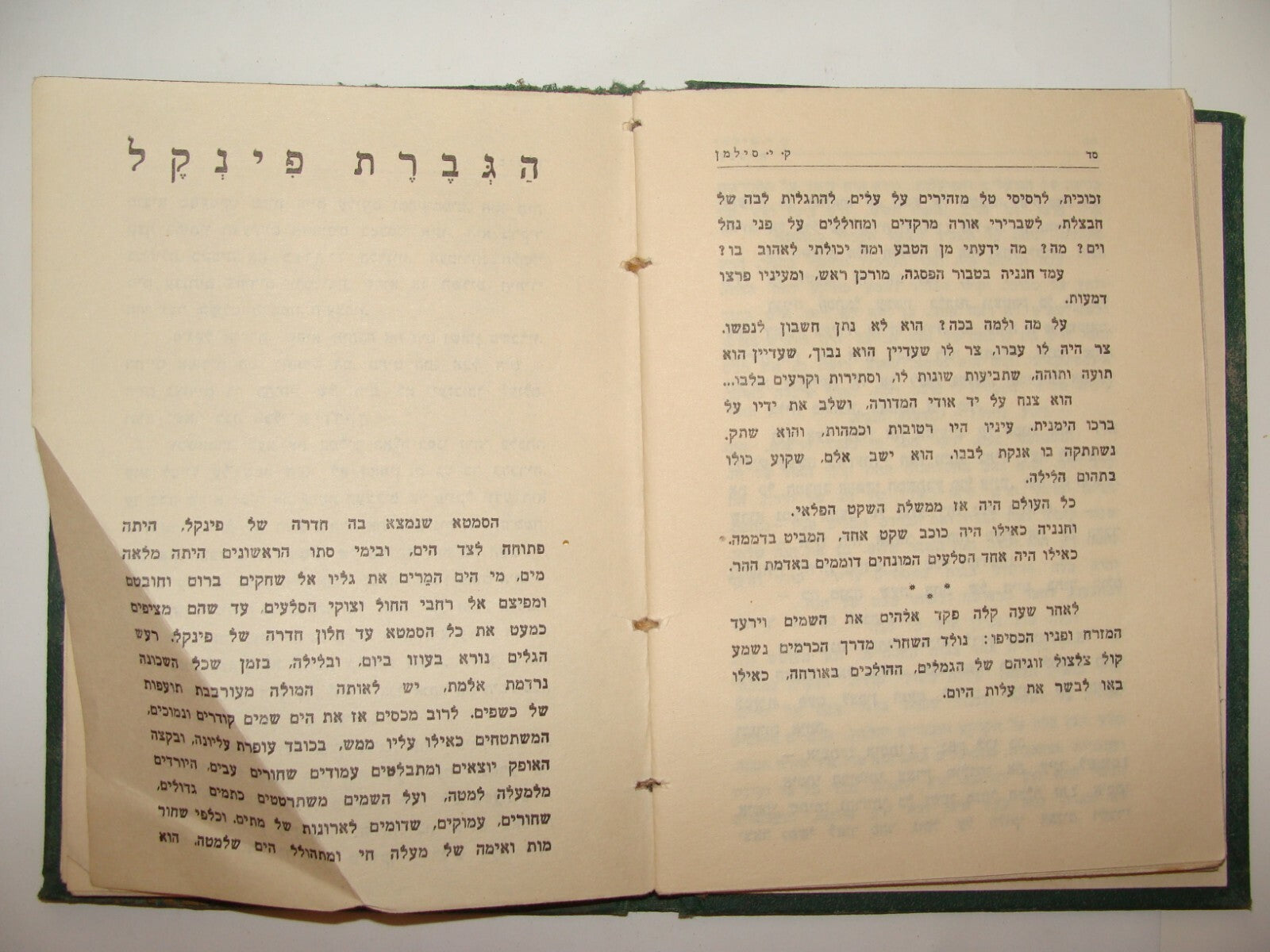 Book Jewish Palestine Israel Israeli Hebrew Literature Stories סנסנים 1929