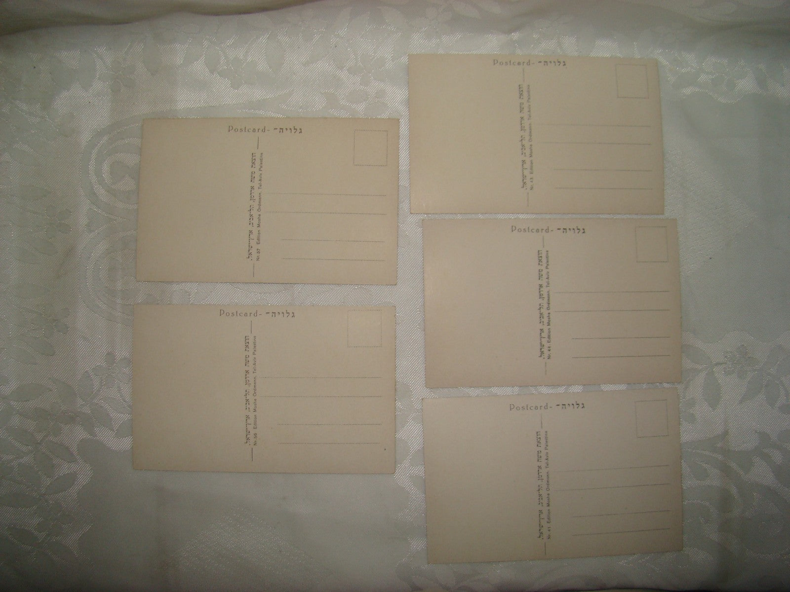 Photo Palestine Card hebrew jewish Israel Moshe Ordmann postcard Rishon LeZion