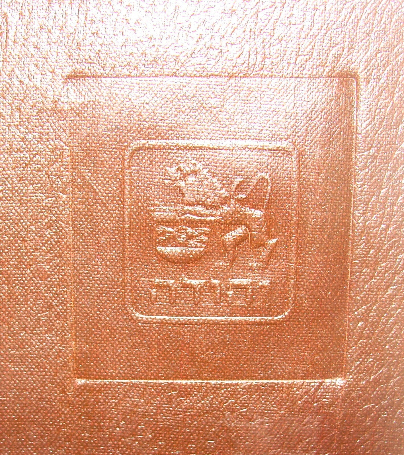 Jewish Palestine Israel Israeli Hebrew JUDEA Insurance Company Purse Bag Folder
