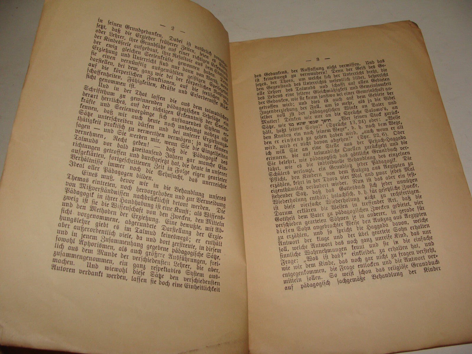 Germany Book Jewish Judaica German Bible Biblical Hebrew TALMUD Dr. Stein 1901