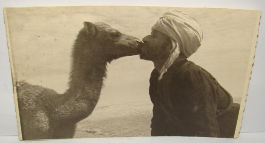 Photo Palestine Card Antique Bedouin Man With His Camel Postcard Desert ?