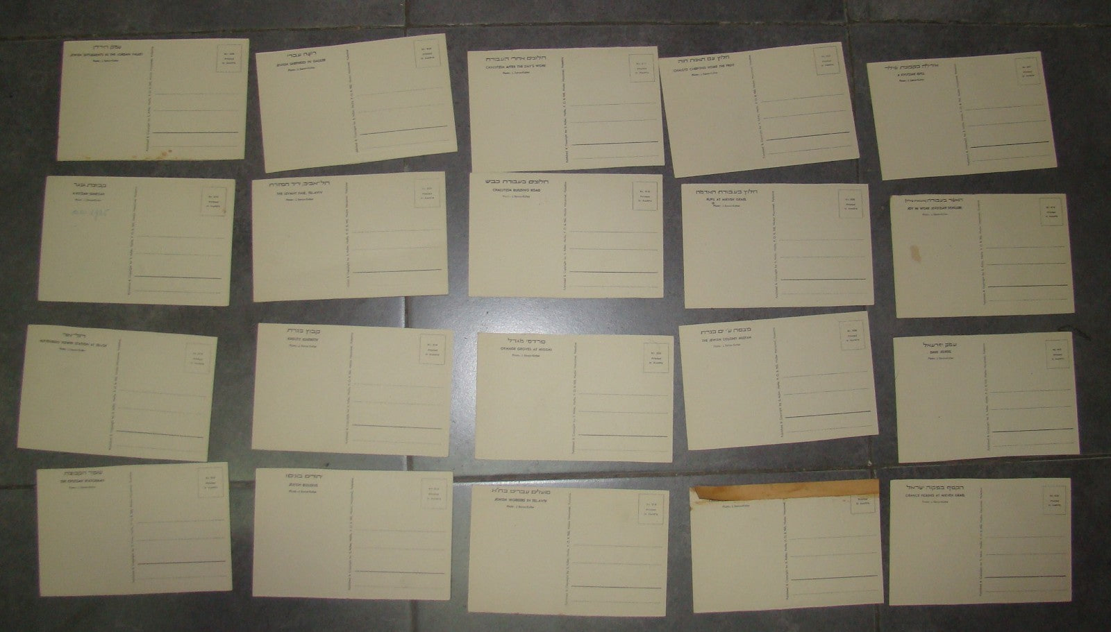 Photo Palestine Card hebrew jewish Israel Benor Kalter 20 postcard בנאור קלטר