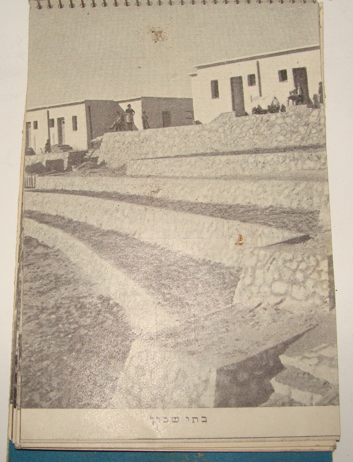 $ Keren Hayesod Palestine Jewish Hebrew Israel Zionist Philanthropy