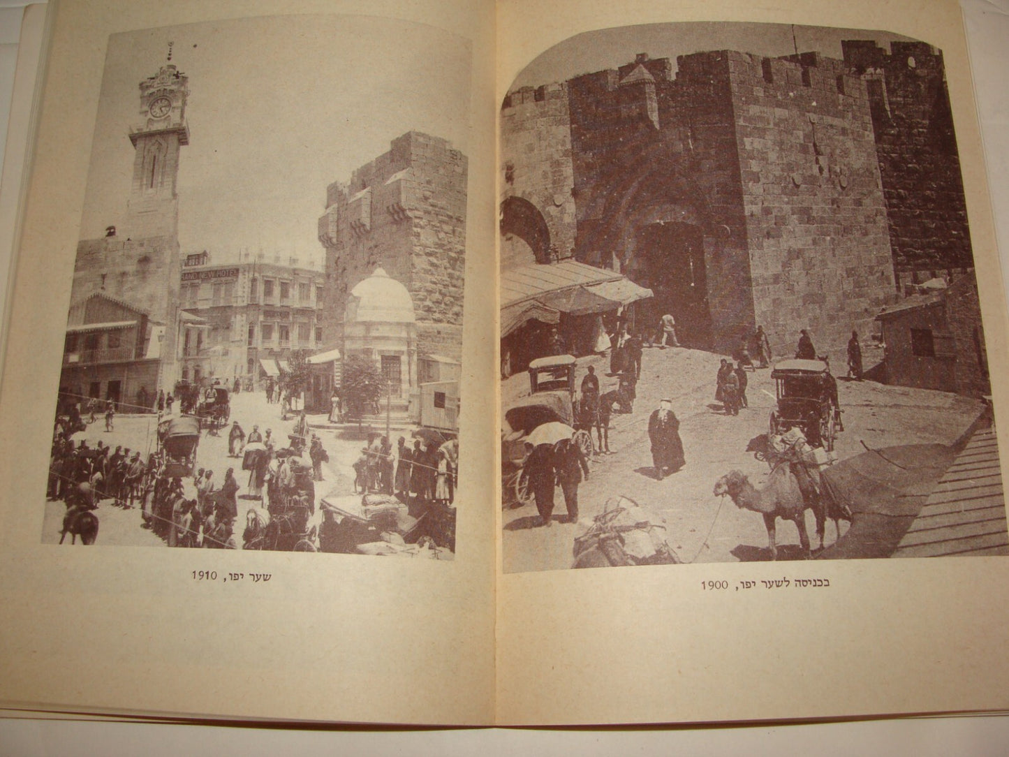 Book Jewish Judaica Israel Israeli Jerusalem History Rare Photos