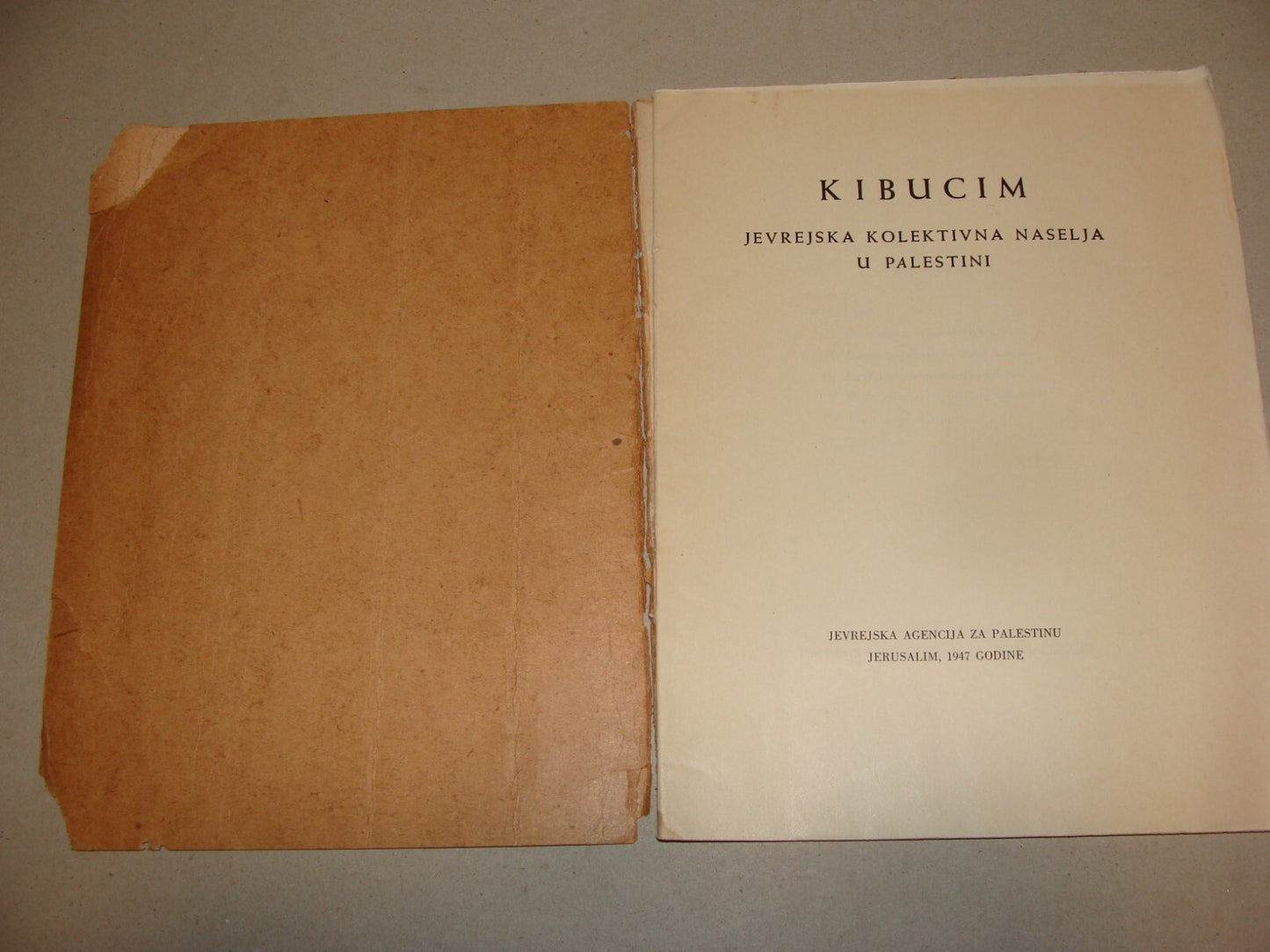 Pamphlet Palestine Map 1947 Zionist Jewish Hebrew Israel Kibbutz Bosnian Photo