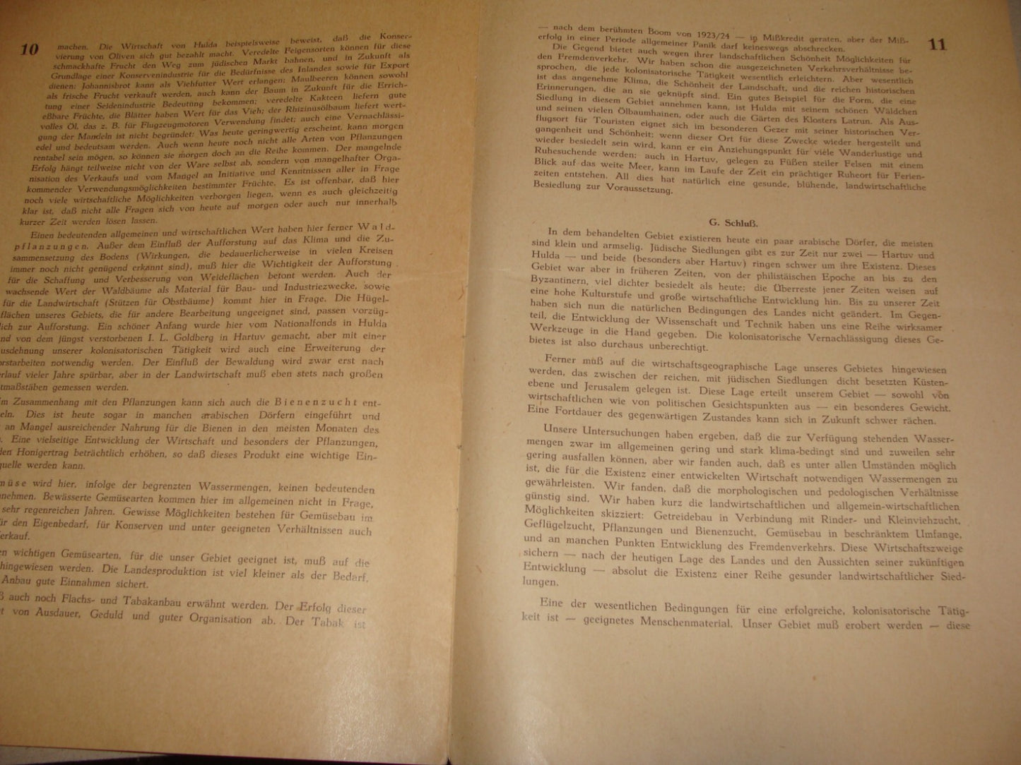 Bulletin Palestine Jewish Judaica 1936 PALASTINA German Israel Zionist