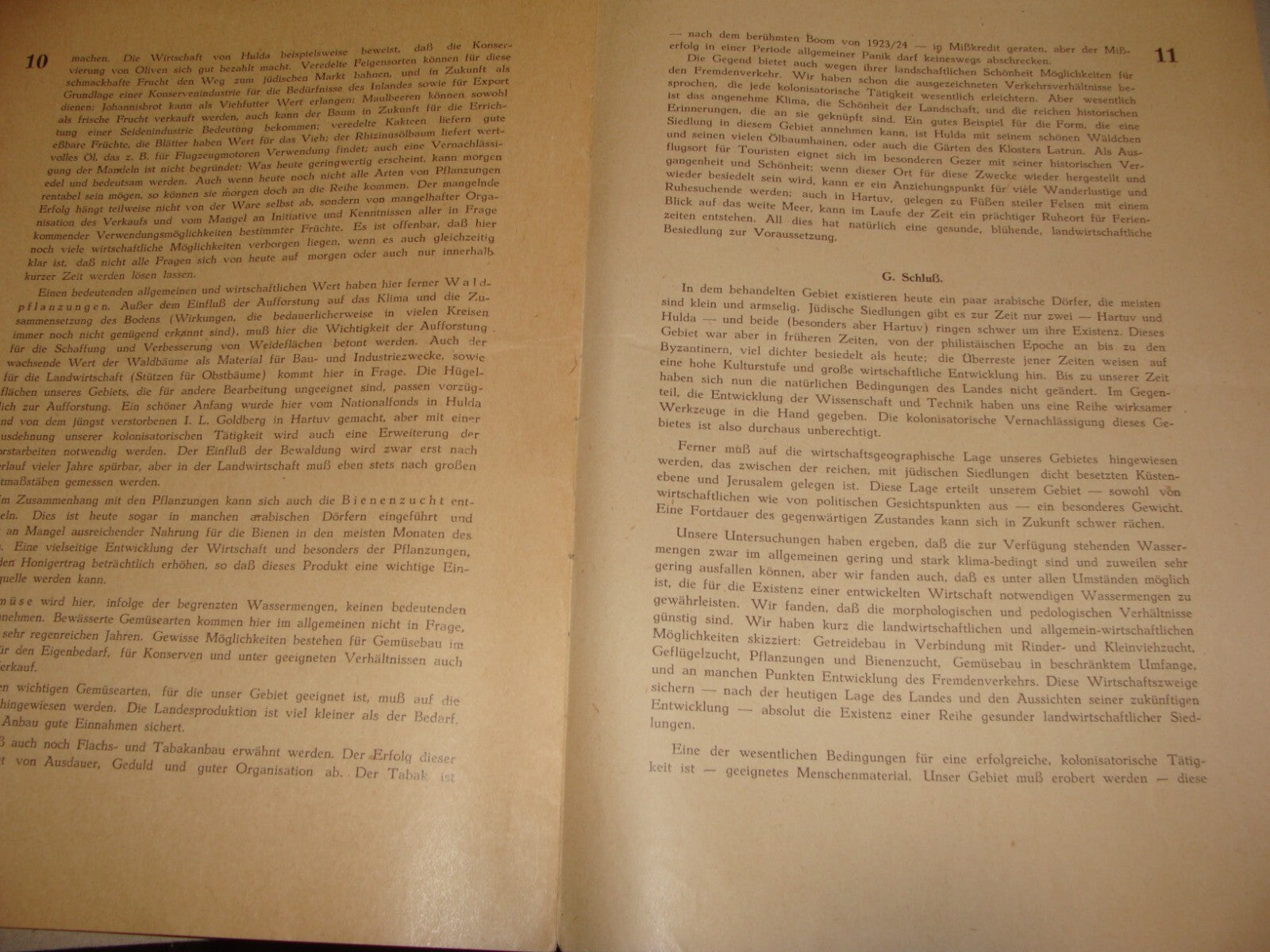 Bulletin Palestine Jewish Judaica 1936 PALASTINA German Israel Zionist