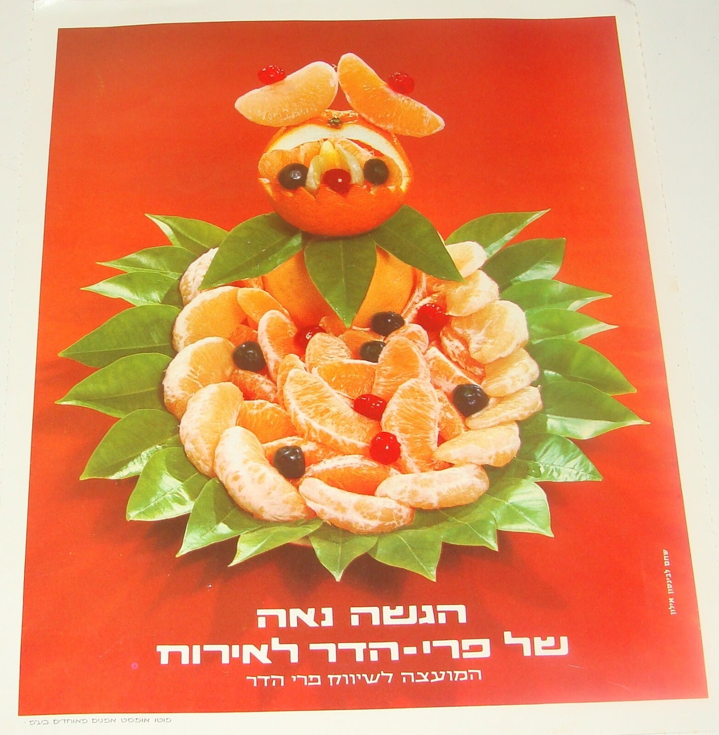 Ad Jewish Hebrew Israel Israeli Vintage Poster Lot Fruit Orange Citrus Zionist