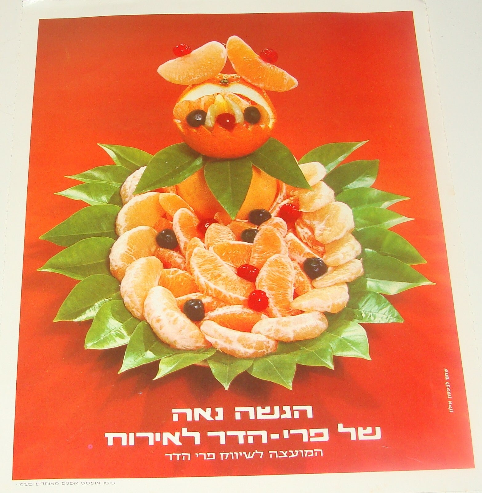 Ad Jewish Hebrew Israel Israeli Vintage Poster Lot Fruit Orange Citrus Zionist