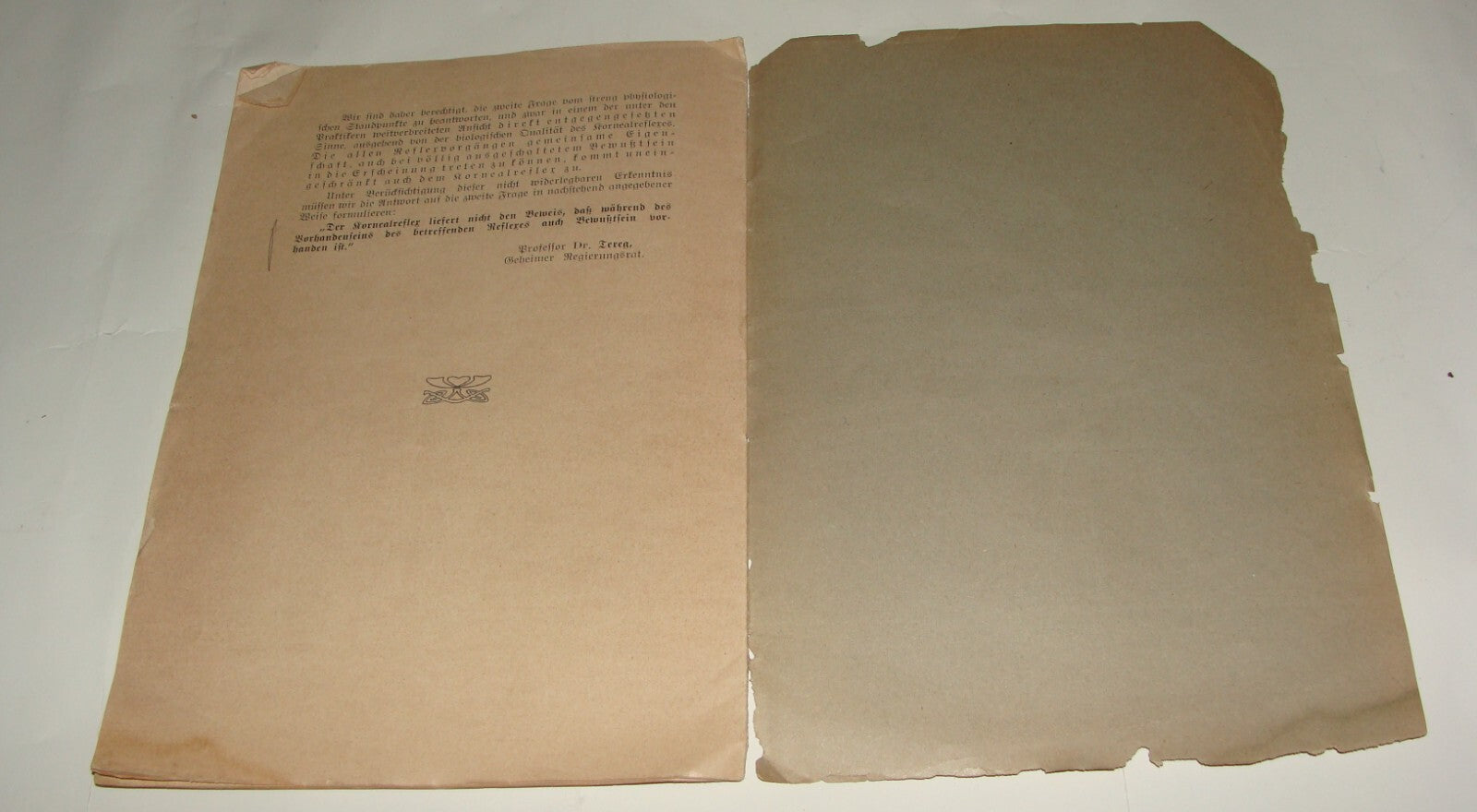 Germany Paper Jewish Judaica Antique 1911 German   Jews Slaughter Kosher Ritual