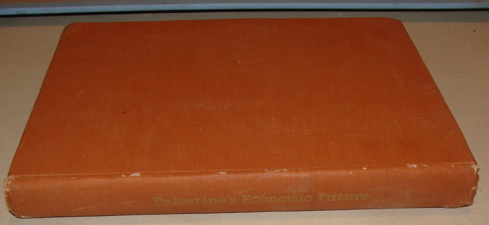 Book Jewish 1946 PALESTINE ECONOMIC FUTURE Book Israel Zionist London Zionism