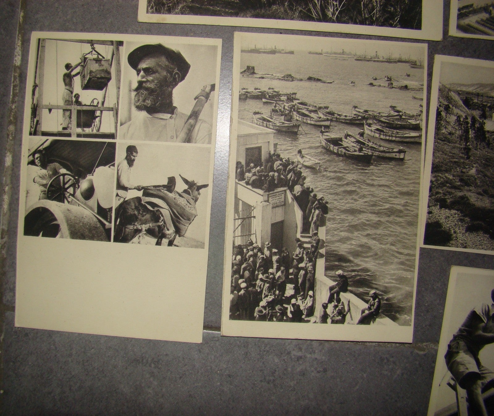 Photo Palestine Card hebrew jewish Israel Benor Kalter 20 postcard בנאור קלטר