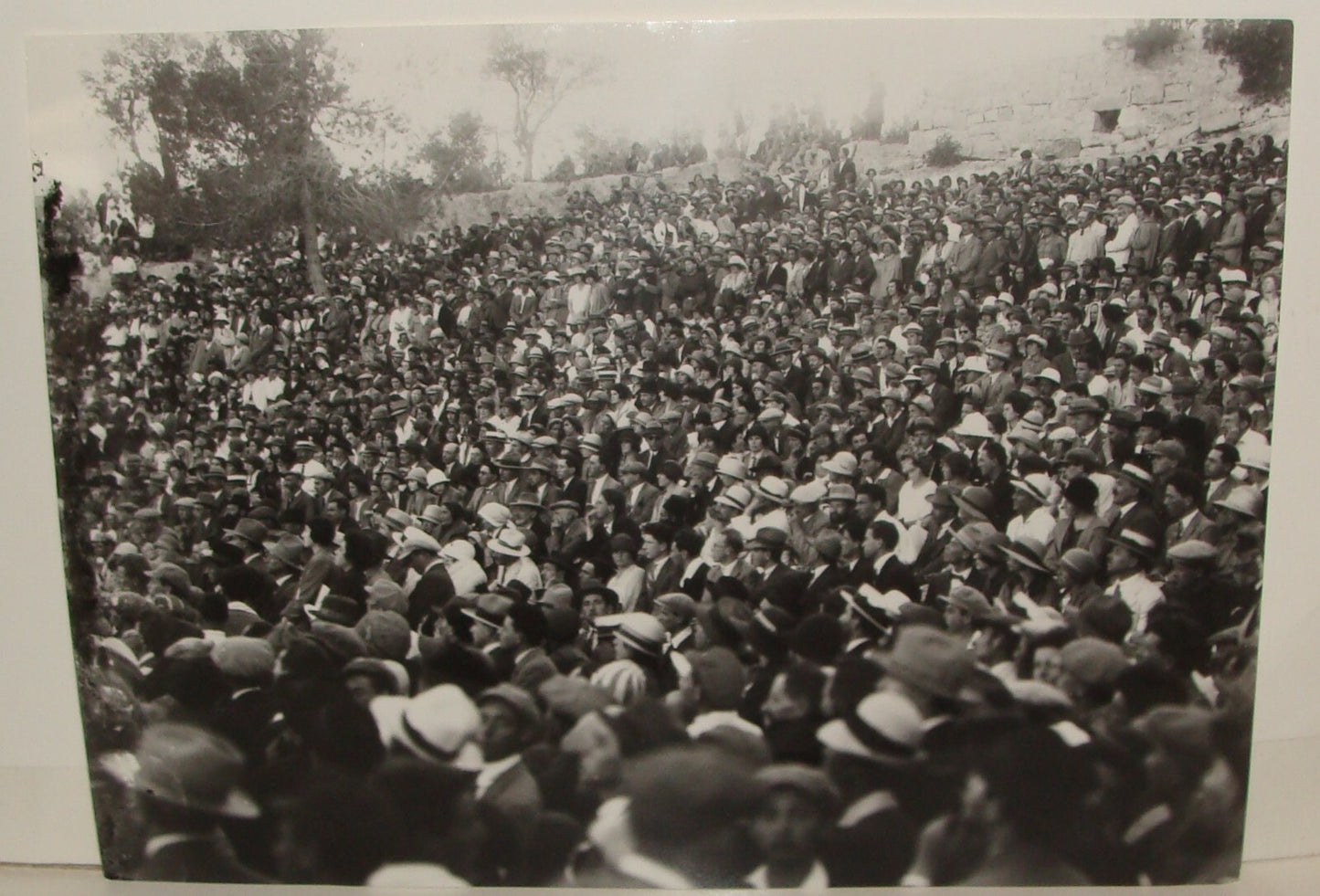 Photo Print, 1925 Jewish Judaica Palestine Israel Jerusalem Hebrew University