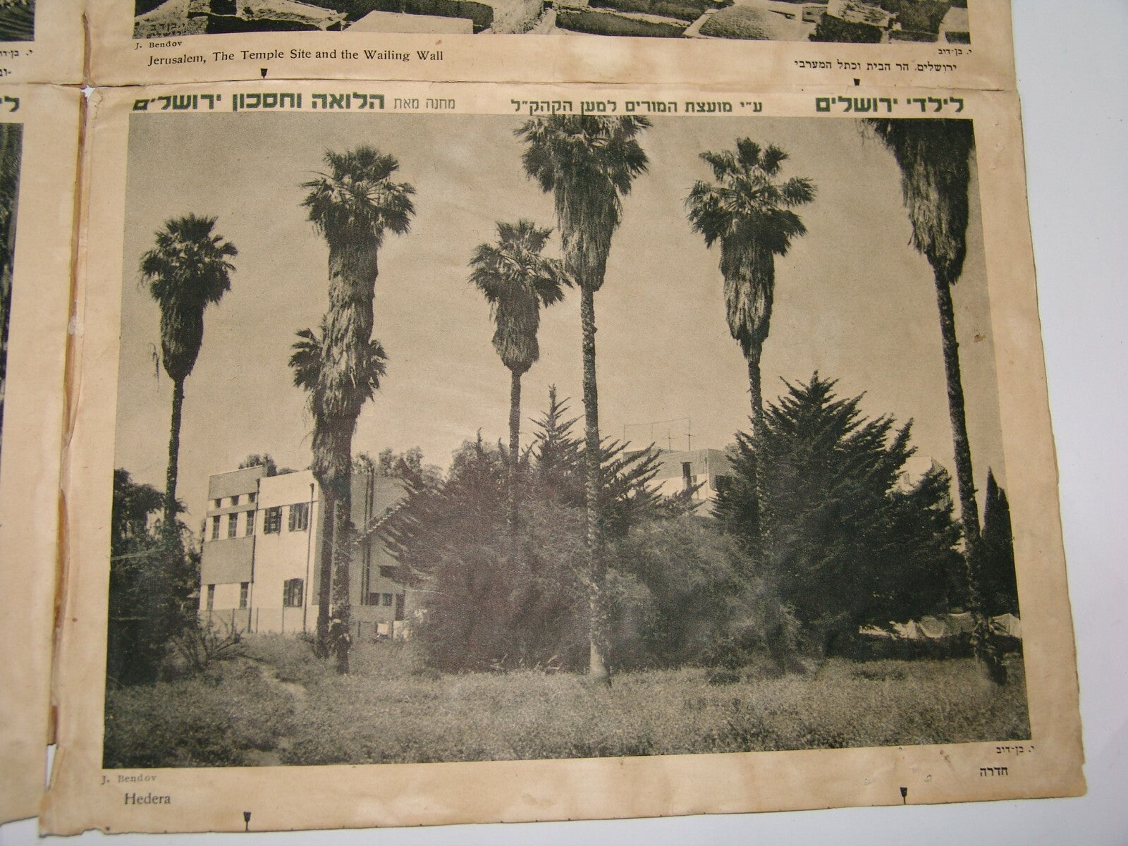 Photo Palestine Ad Jewish israel israeli Jerusalem Hadera Tel Aviv JNF KKL