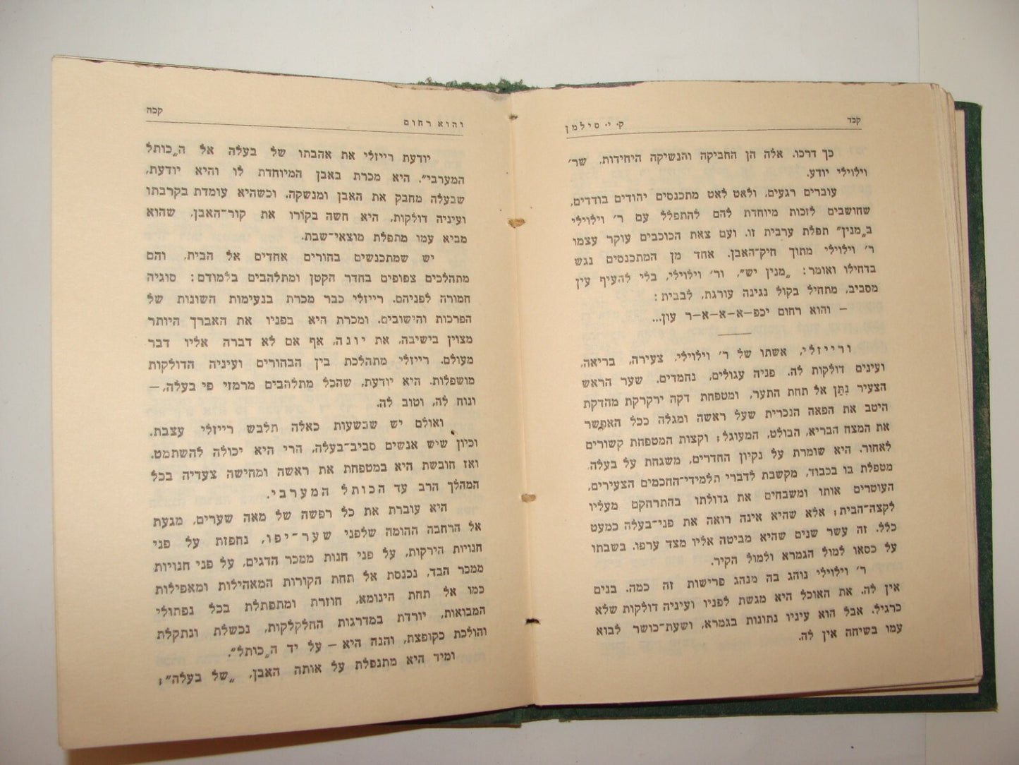 Book Jewish Palestine Israel Israeli Hebrew Literature Stories סנסנים 1929