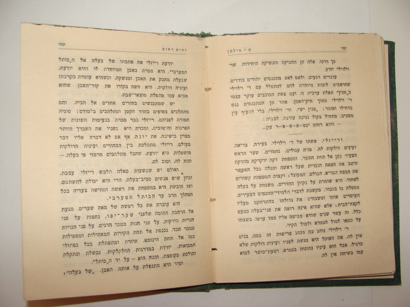 Book Jewish Palestine Israel Israeli Hebrew Literature Stories סנסנים 1929