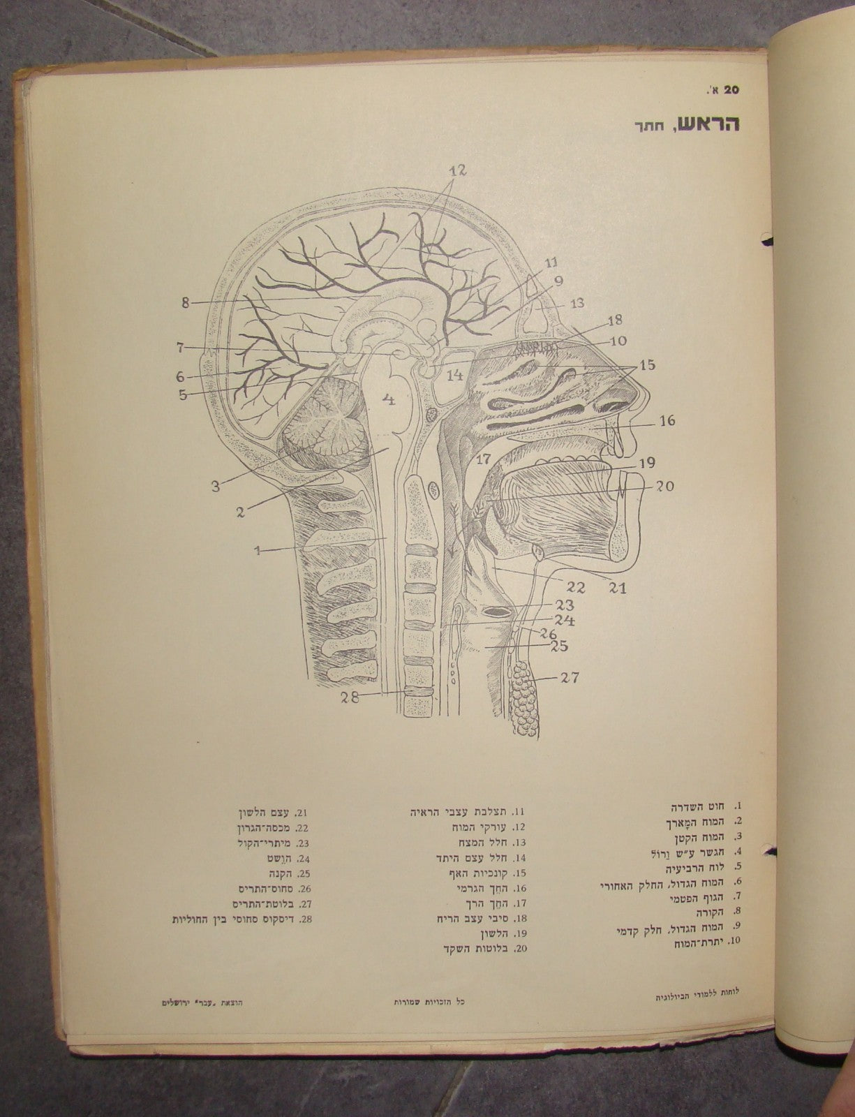 Book Jewish hebrew palestine eretz israel Biology Atlas by Ever Science Zvi Lev