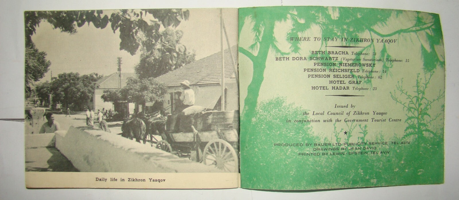 Book Jewish Judaica Israel Israeli Hebrew Zichron Yaakov זכרון יעקב Photos Wine