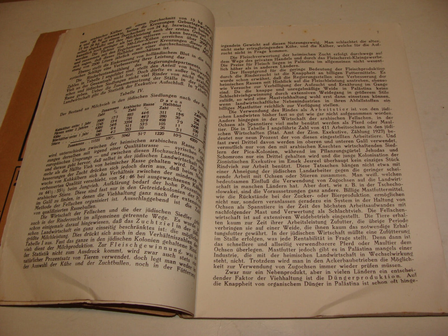 Jewish Judaica 1929 German Austria Vienna Palestine Monthly Zionist Israel