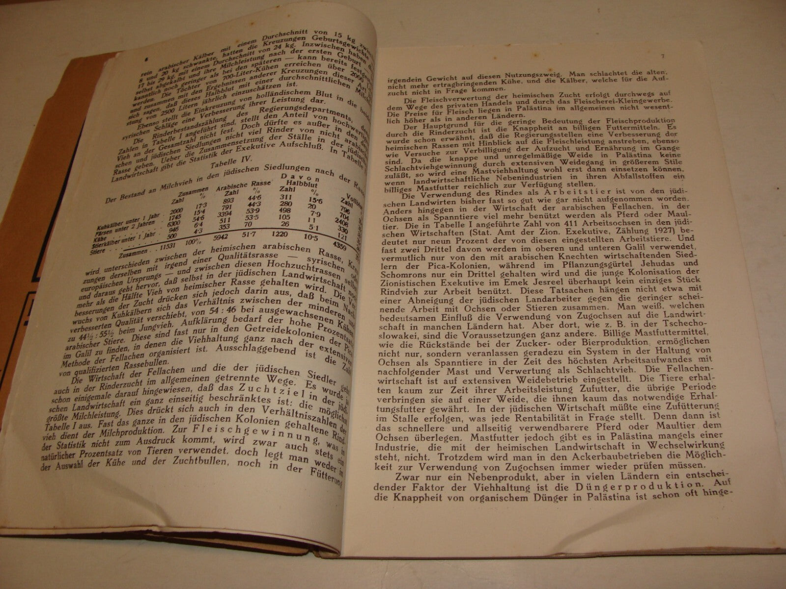 Jewish Judaica 1929 German Austria Vienna Palestine Monthly Zionist Israel