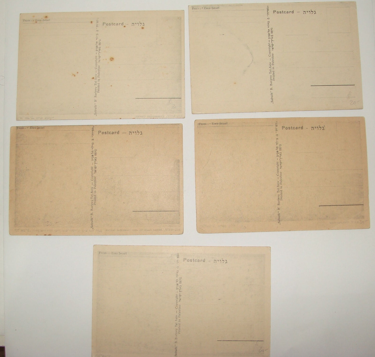 Photo Palestine Card Judaica Jewish Hebrew Israel TEL AVIV Barlevi Postcard Lot