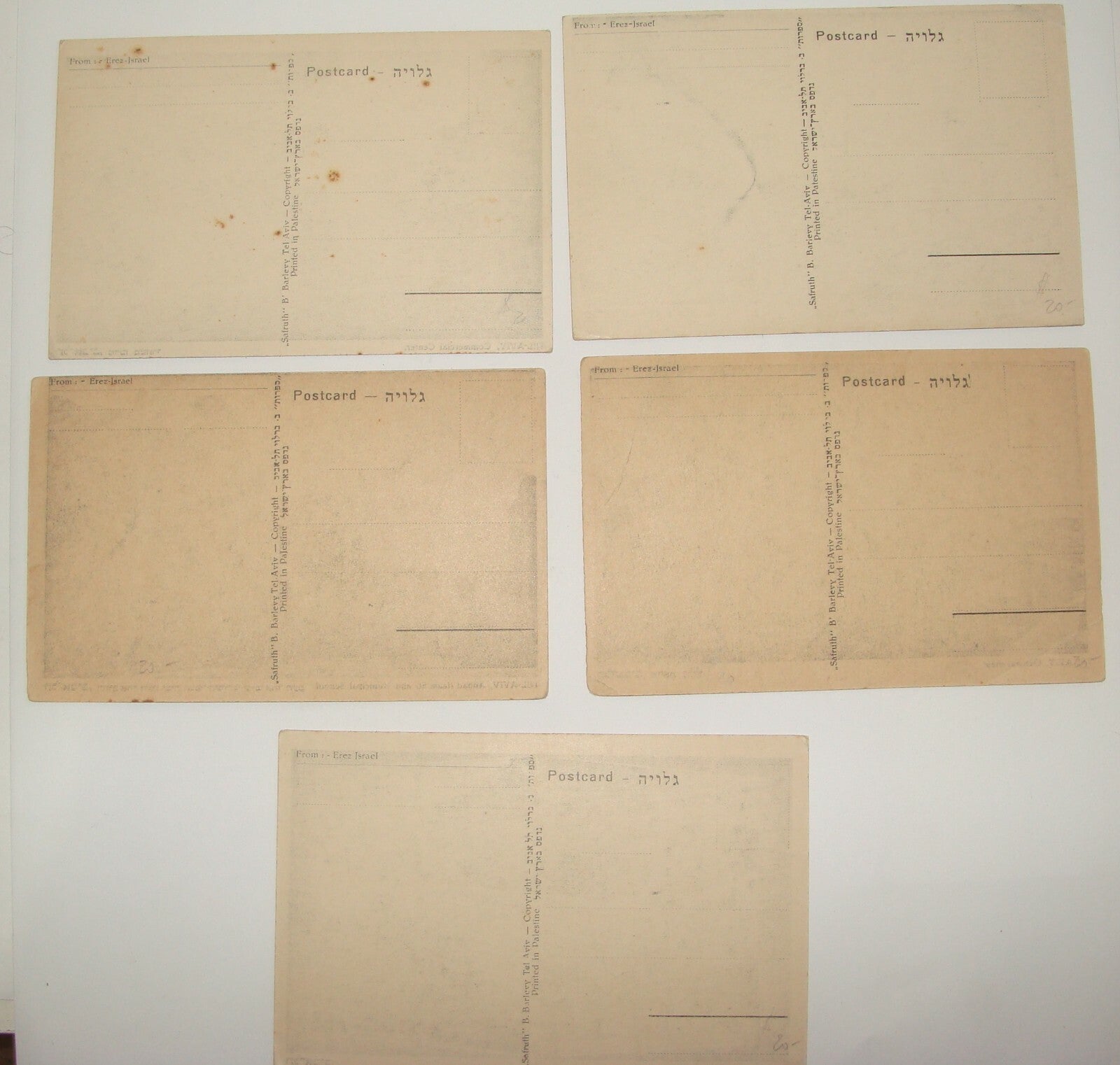 Photo Palestine Card Judaica Jewish Hebrew Israel TEL AVIV Barlevi Postcard Lot