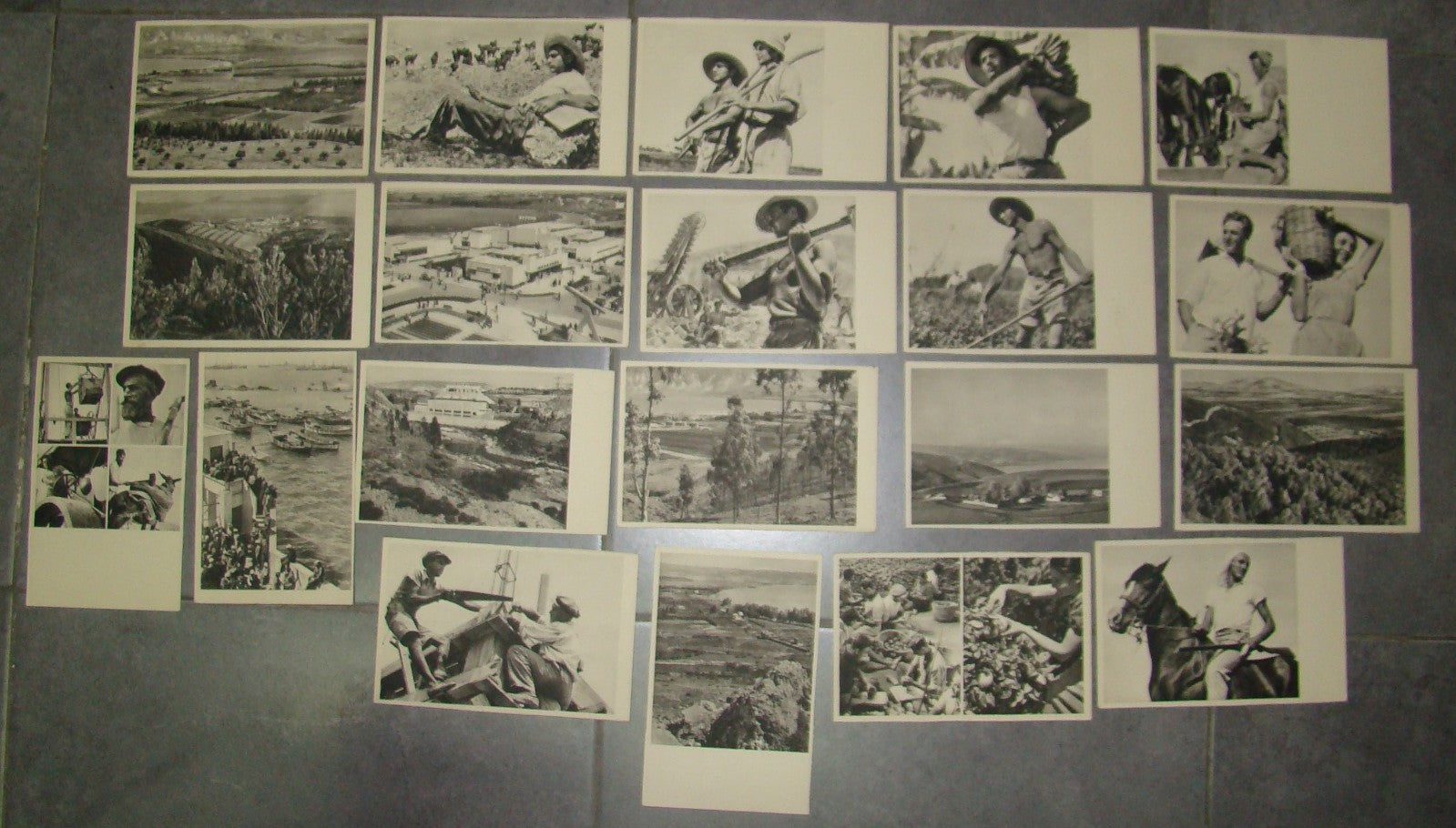 Photo Palestine Card hebrew jewish Israel Benor Kalter 20 postcard בנאור קלטר