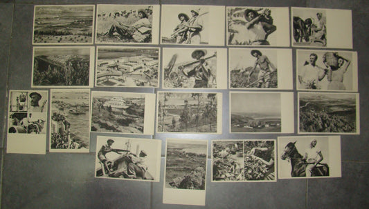 Photo Palestine Card hebrew jewish Israel Benor Kalter 20 postcard בנאור קלטר