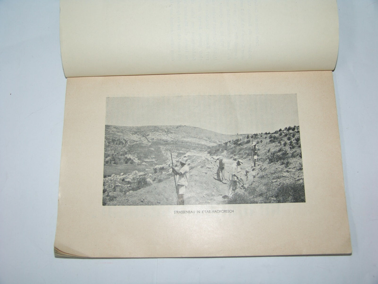 Book Jewish Judaica zionist zionism Unsere Kwuzoth Third Aliyah German 1934