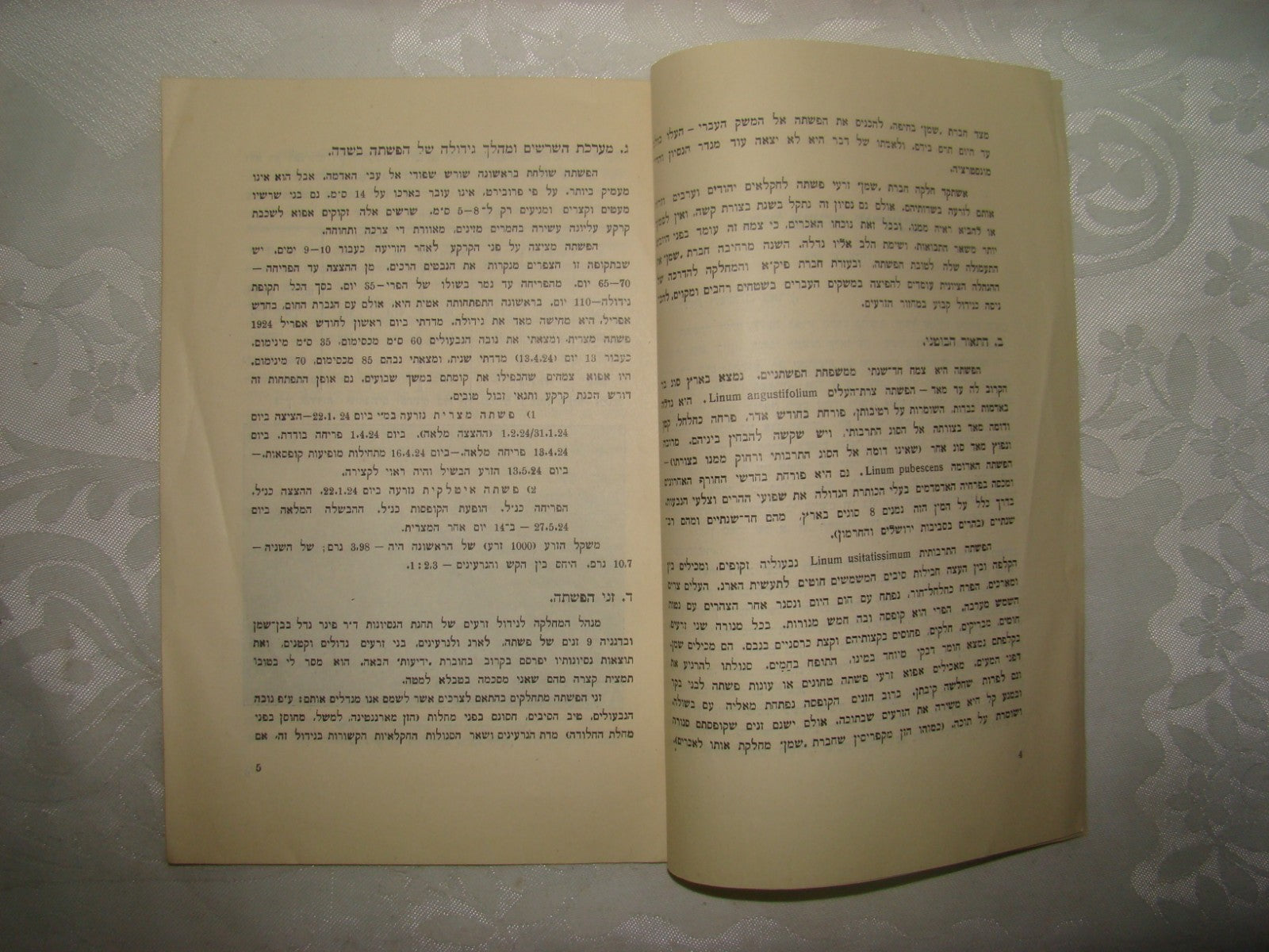 Book Jewish Hebrew Palestine Israel 1928 Agriculture Zionist Settlement Company