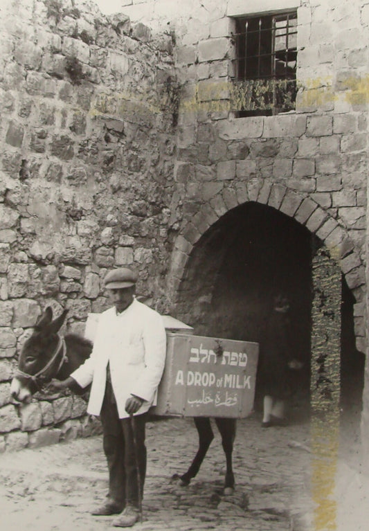 Photo Print, Jewish Palestine Israel Jerusalem 1927 Child Care Donkey Milk Help
