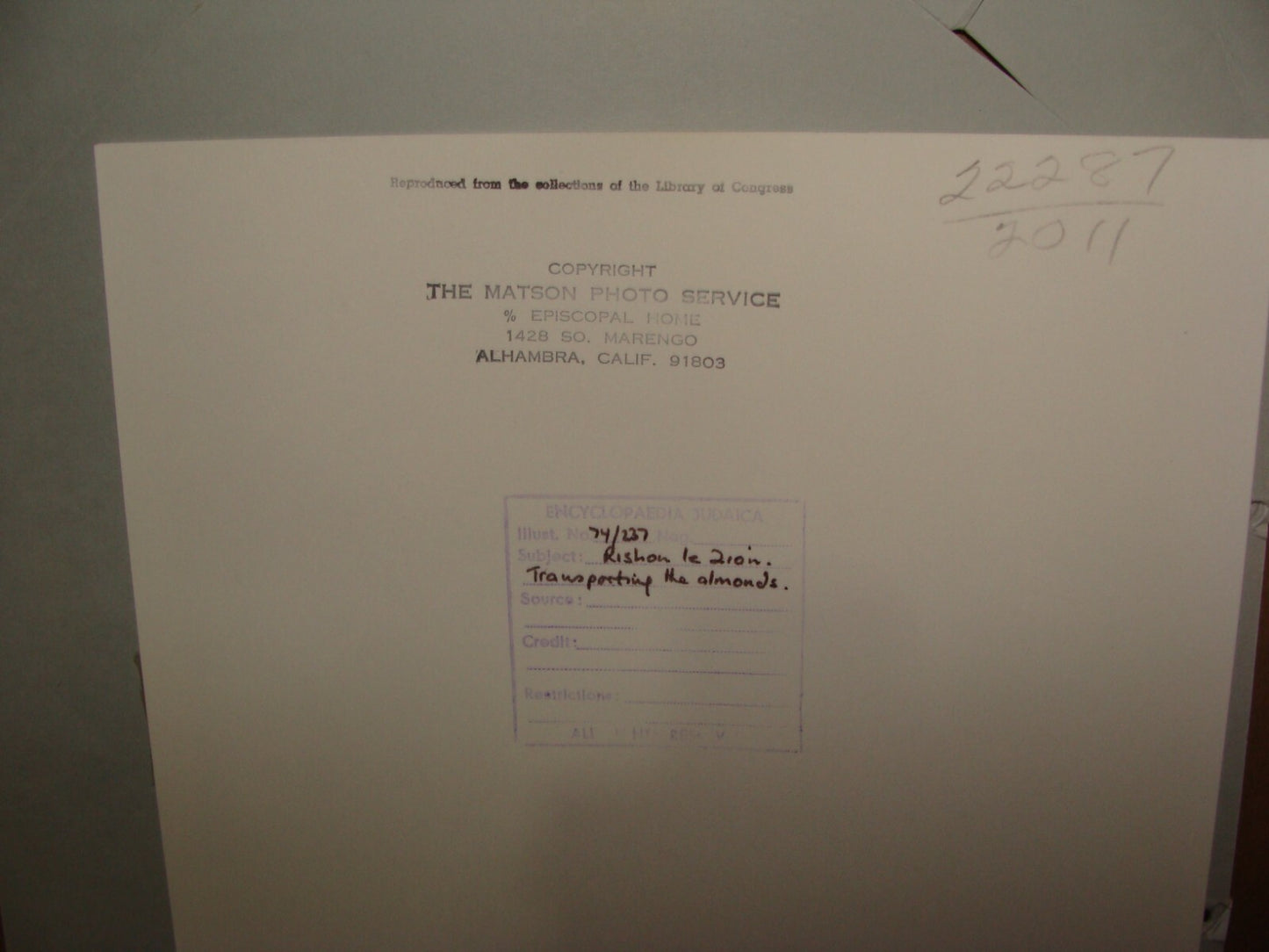 Photo Print, Ottoman Palestine Israel Rishon LeZion Agriculture MATSON 1910s