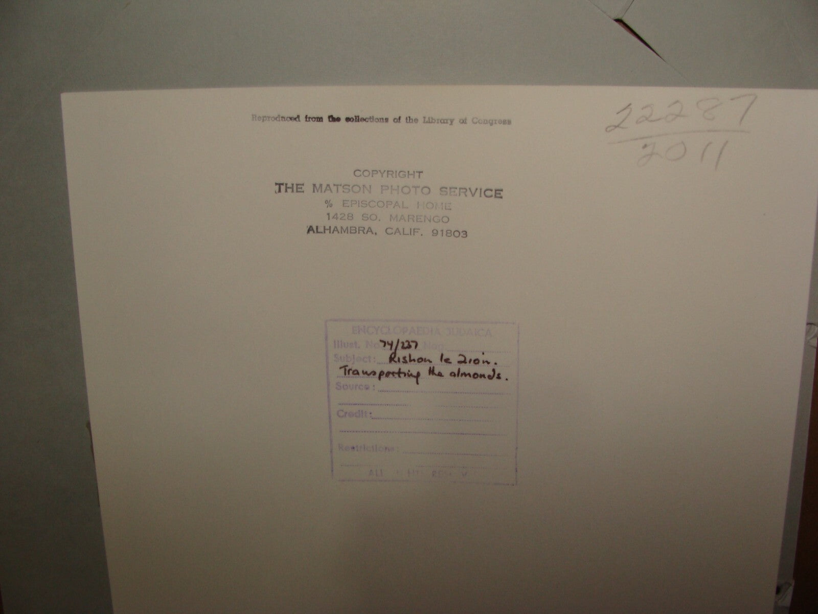 Photo Print, Ottoman Palestine Israel Rishon LeZion Agriculture MATSON 1910s