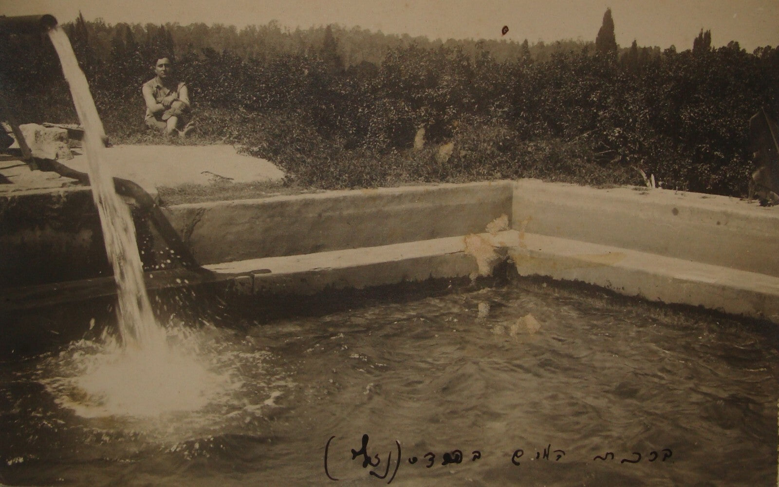 Photo Palestine Judaica Jewish Israel Zionist 1920s Zichron Yaakov Hebrew X4 LOT