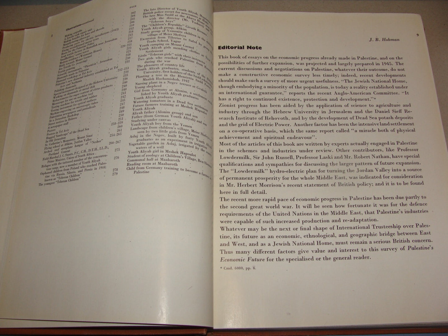 Book Jewish 1946 PALESTINE ECONOMIC FUTURE Book Israel Zionist London Zionism