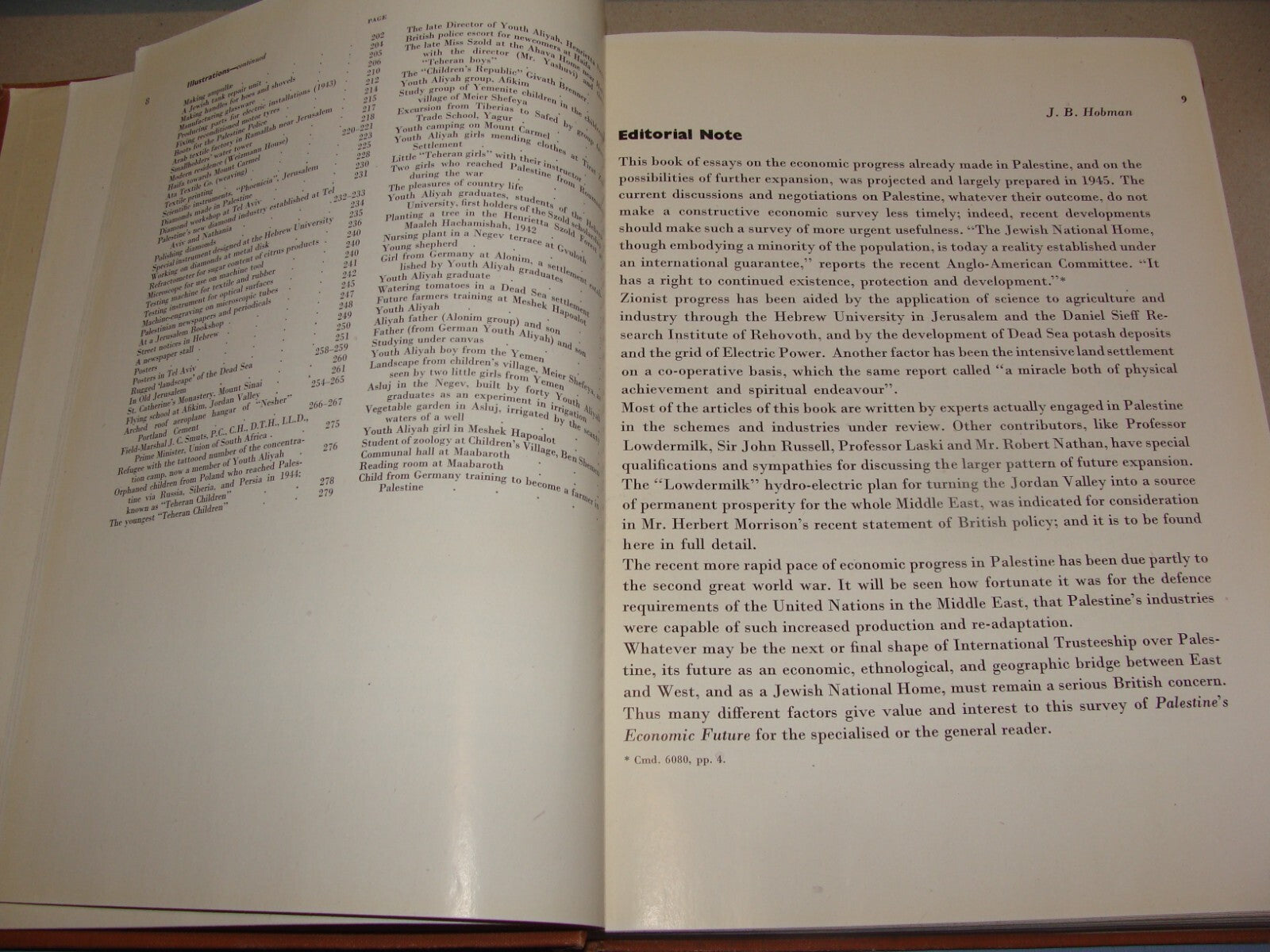 Book Jewish 1946 PALESTINE ECONOMIC FUTURE Book Israel Zionist London Zionism