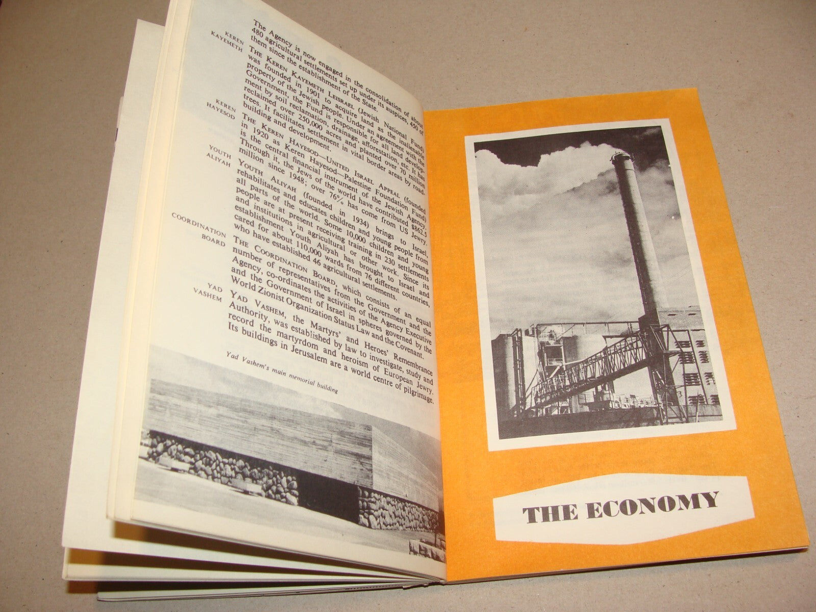 Jewish Judaica 1965 Israel Israeli Facts Guide Information Book History Map