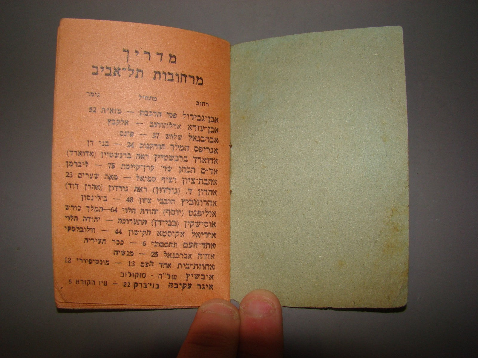 Book Jewish hebrew vintage hebrew paslestine israel 1945 tel aviv guide street